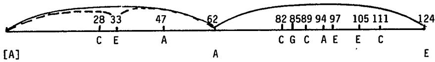 Tonally, the fantasia is planned in terms of fourth mode norms, although only the bass voice conforms to