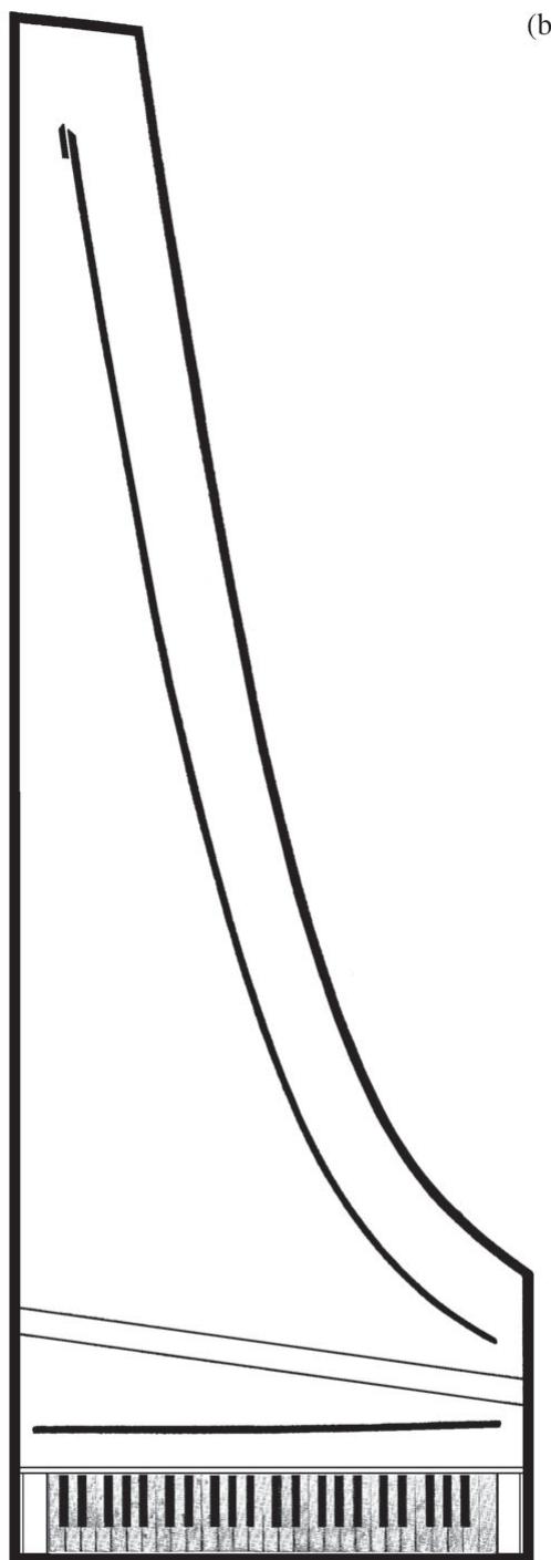 (a)；(b)