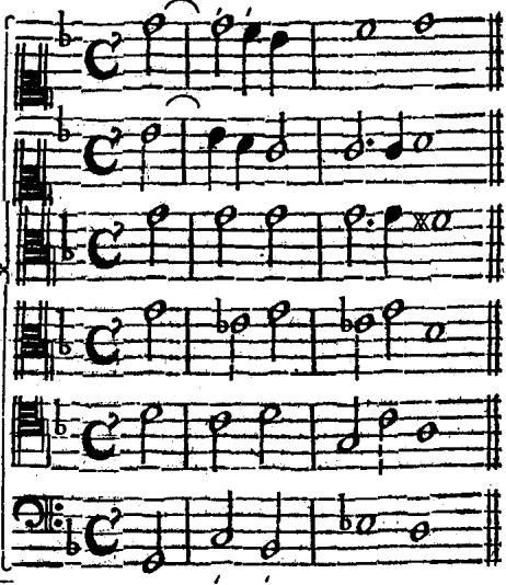 VIII. Refol. Nonæ per Nonam alteram.