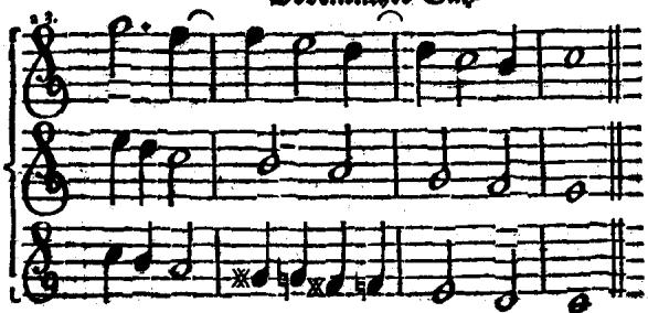 §. 13.