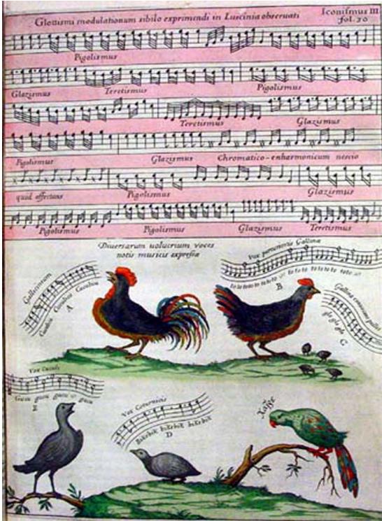 Figure 4.3.5. Kircher, Bird songs from Musurgia universalis (1650), Book I, fol. 30.