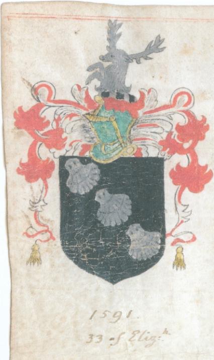 Abb. 2. Wappen aus einem von Robert Cooke, Claranceaux King of Arms, 1591 ausgestellten Wappenbrief (die Eintragung unter dem Datum bezieht sich auf das 33. Regierungsjahr Elizabeths I.). Die Schildform und der Stil der Helmdecke sind mit dem Wappen aus MLNB (Abb. 3) vergleichbar5.