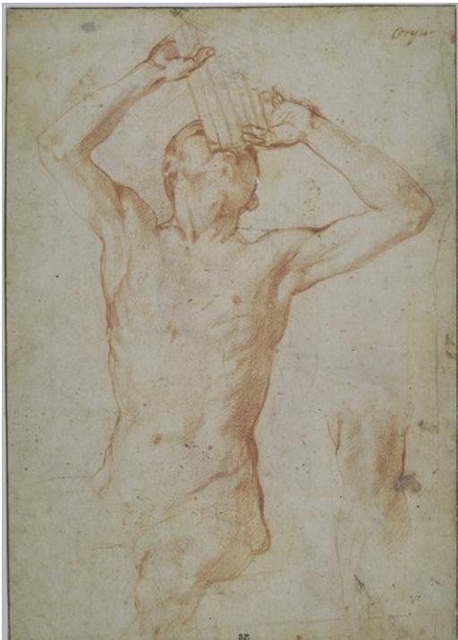 Fig. 55: Angelo Bronzino, Marsyas, red chalk study, 25.4 x 18 cm, Louvre, Paris, 5923r; <http://arts-graphiques.louvre. fr/detail/oeuvres/7/8299-Jeune-homme-nu-assis-jouant-de-la-flute-de-Panet-etude-dun-genou-max> (accessed on 4 March 2025).