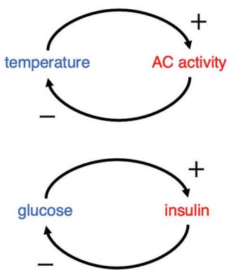 Fig 4. Analogous examples of feedback loops, diagrammed to visuospatially highlight shared causal structure.