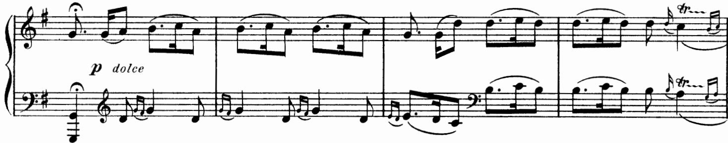 Seconde Partie - LES BRUNES